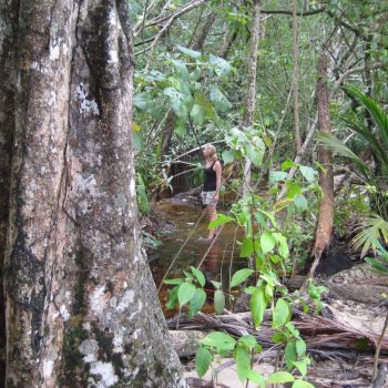 Cahuita National park